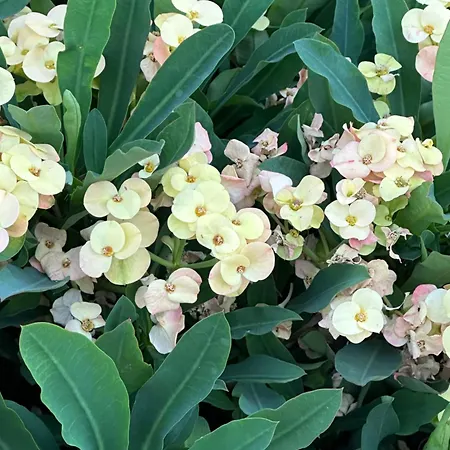 Апартаменты Casa Nuna Modern Loft With Private Garden Terrace