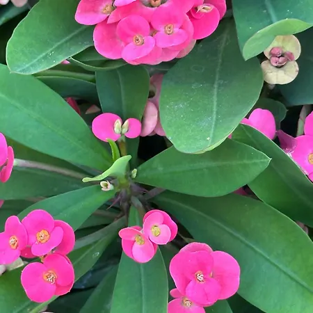 Апартаменты Casa Nuna Modern Loft With Private Garden Terrace