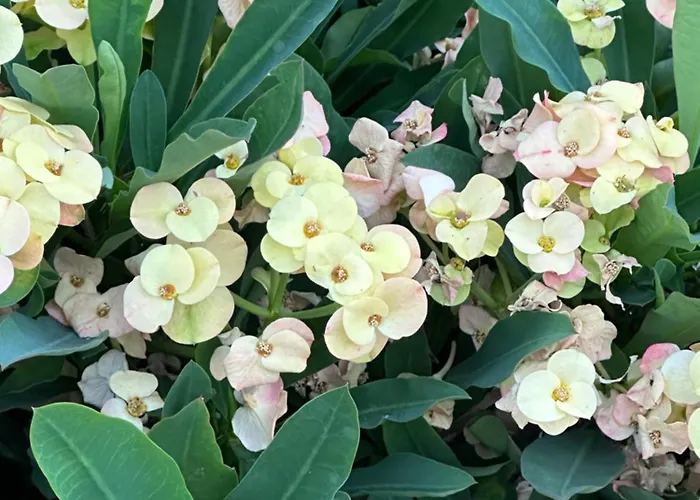 شقة Casa Nuna Modern Loft With Private Garden Terrace