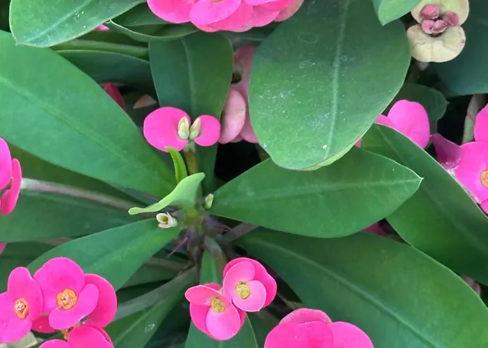 شقة Casa Nuna Modern Loft With Private Garden Terrace