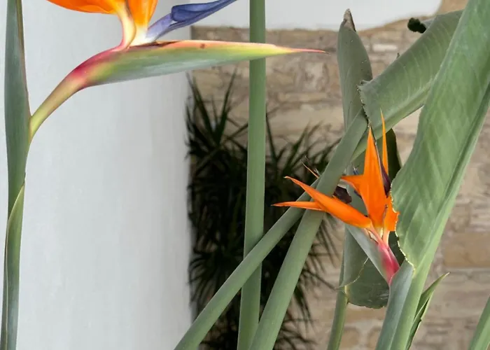 Lägenhet Casa Nuna Modern Loft With Private Garden Terrace