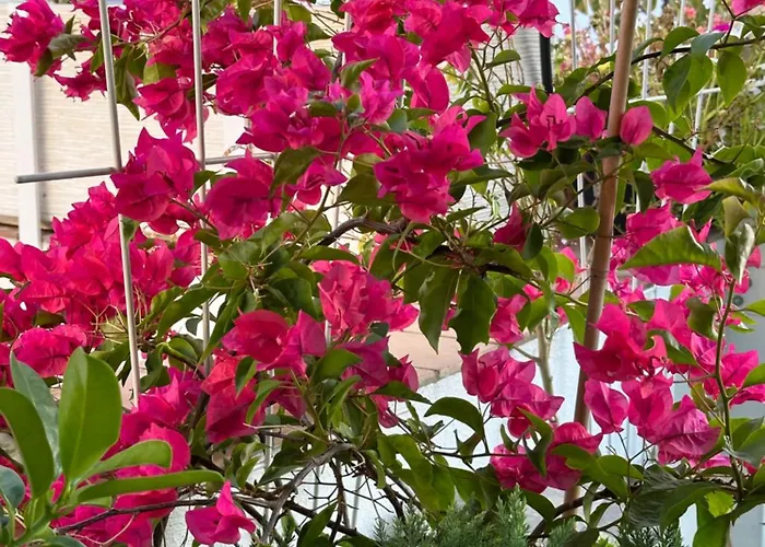 Casa Nuna Modern Loft With Private Garden Terrace Lägenhet Jerez de la Frontera